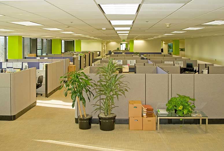 Server Office Room Setup Network Cabling